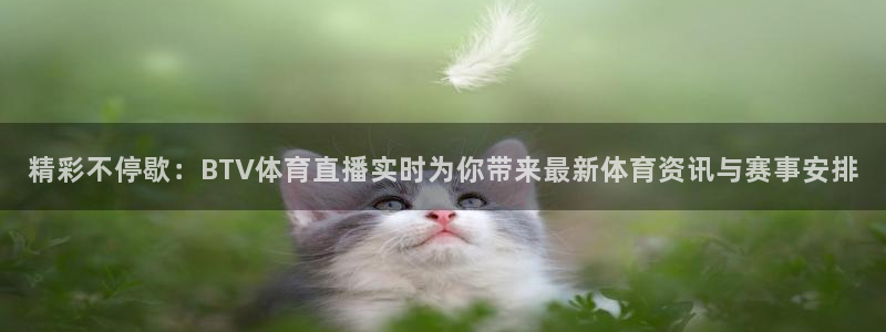 精彩不停歇：BTV体育直播实时为你带来最新体育资讯与赛事安排