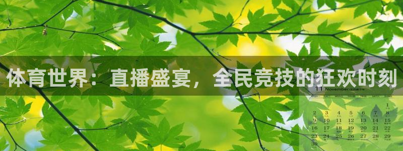 体育世界：直播盛宴，全民竞技的狂欢时刻