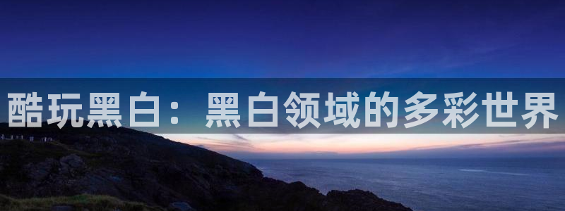 酷玩黑白：黑白领域的多彩世界