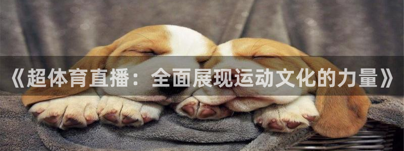 《超体育直播：全面展现运动文化的力量》