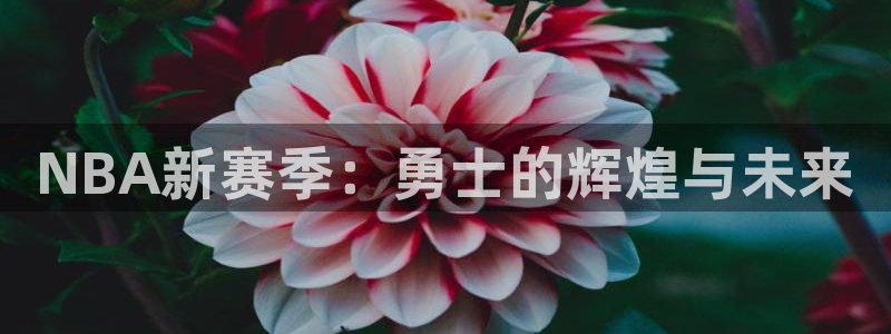 NBA新赛季：勇士的辉煌与未来