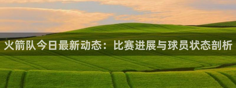 火箭队今日最新动态：比赛进展与球员状态剖析