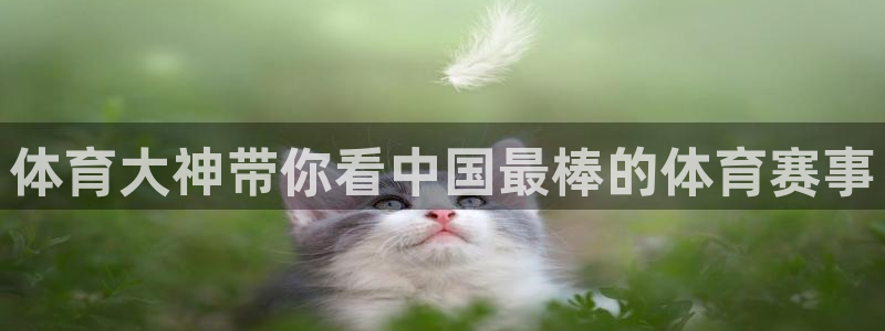 体育大神带你看中国最棒的体育赛事